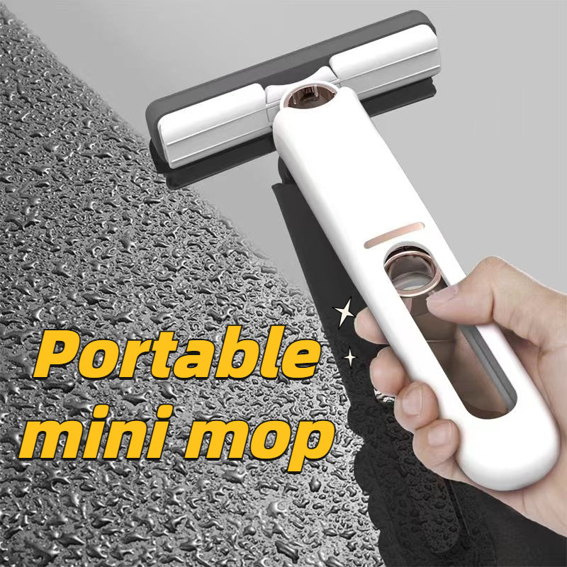 Self Mini Mop Window Glass